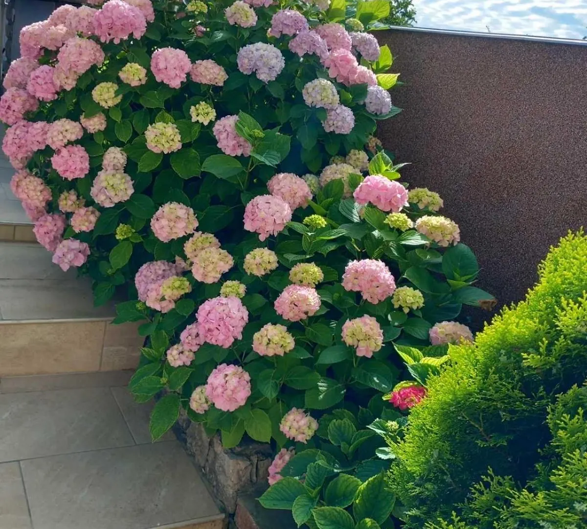 Ela I Gabi Apartment Omisalj Homestay